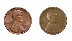 Grading Criteria to Note Color and Appearance: