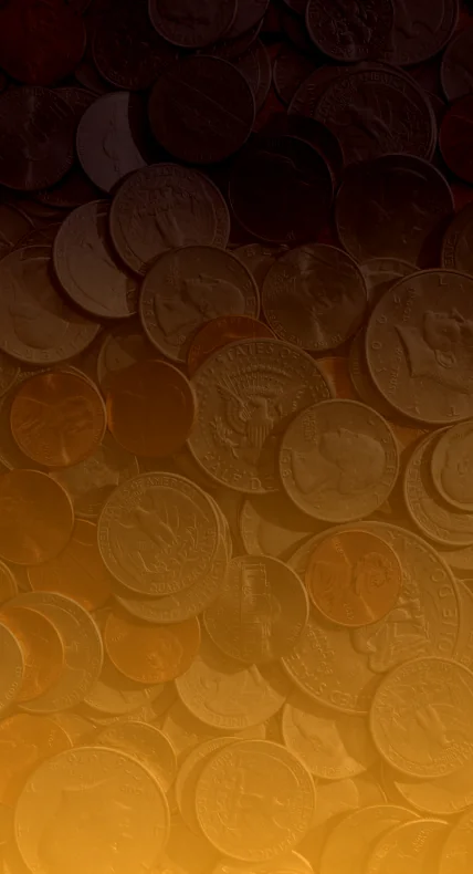 The results of the Coin ID Scanner app in numbers.